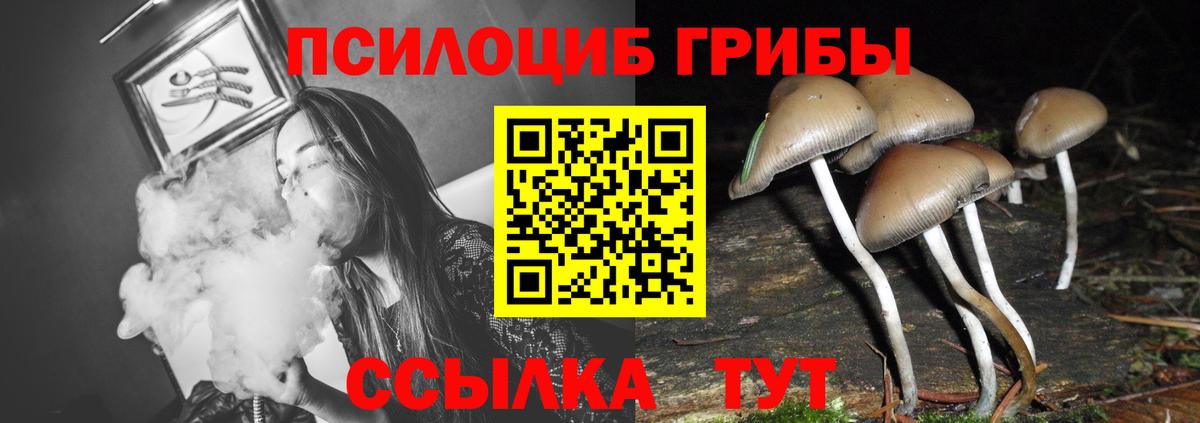 Кунгур  Псилоцибиновые грибы Psilocybe  Галлюциногенные грибы мицелий  Вход с VPN 
